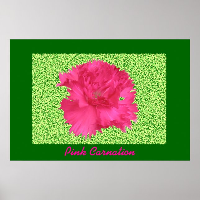 Pink Carnation Print (Front)