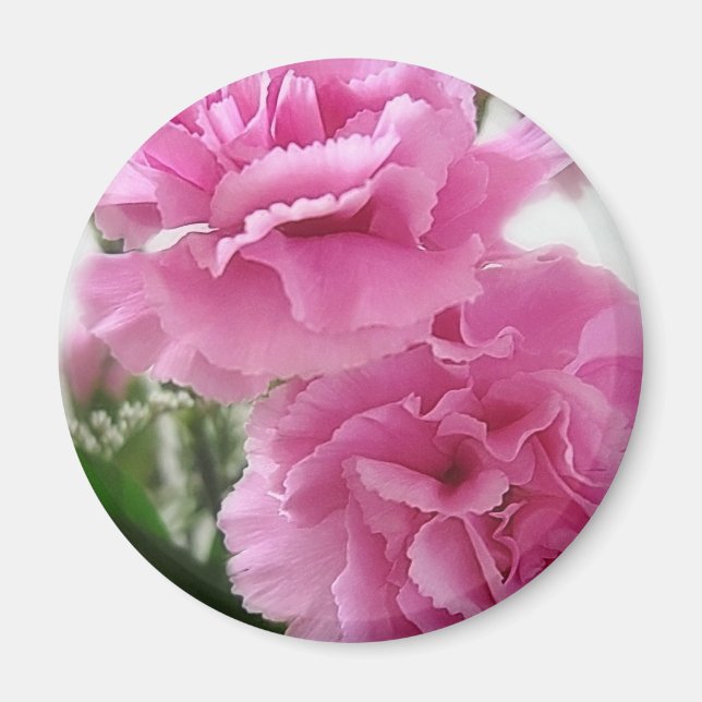 Pink Carnations 1 Magnet (Front)