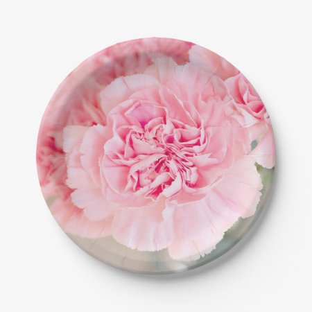 Pink Carnations Paper Plates
