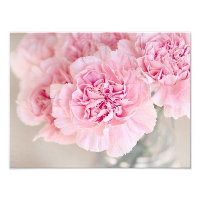 Pink Carnations Photo Print (Front)