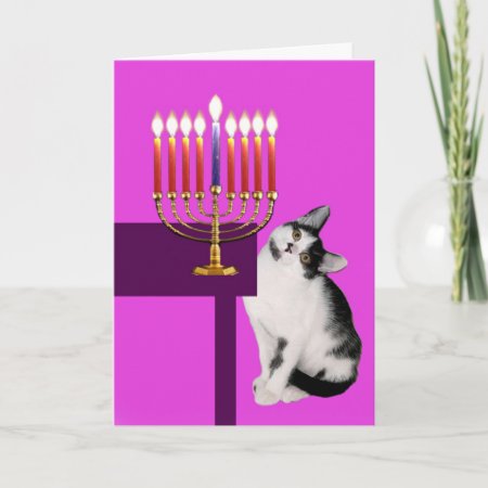 Pink Cat And Menorah Hanukkah Card