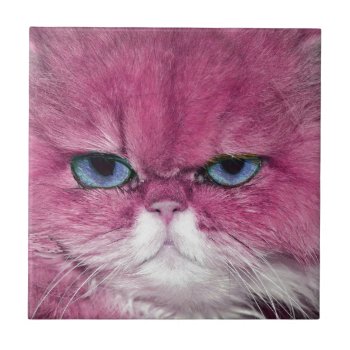 Pink Cat Fierce Look Cat Eyes  Fun Pink Cat Tile by myMegaStore at Zazzle