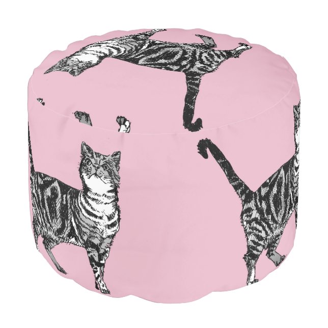 Pink Cat Girls Room Foot Stool baby tabby Pouffe Pouf (Angled Front)