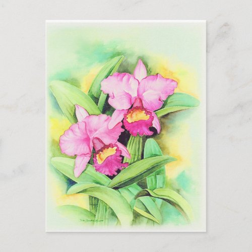 Pink Catleya Orchid Flower Art _ Multi Postcard