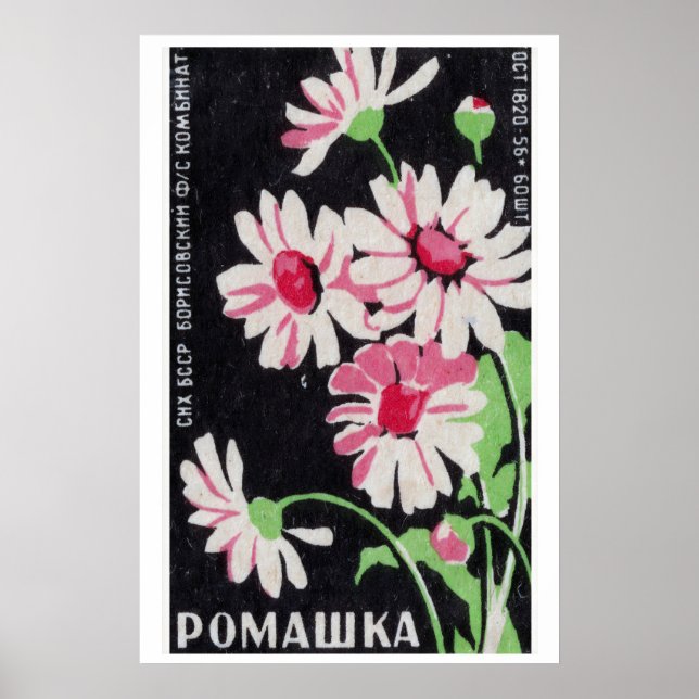 Pink Chamomile Flowers Matchbox Art Print, Russian Poster (Front)