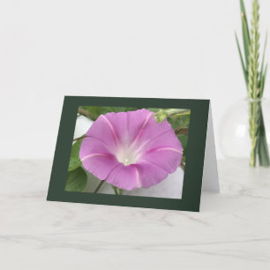 Pink Charm Morning Glory Blank Card