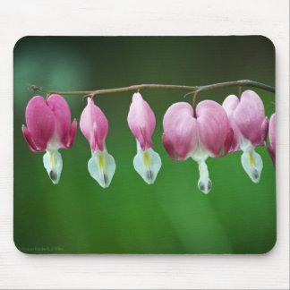 Pink Charms Mousepad