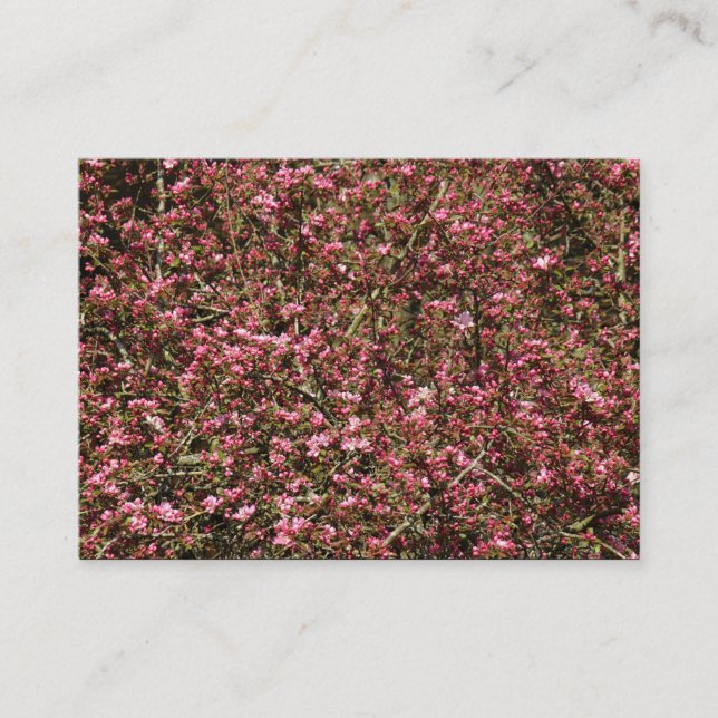Pink Cherry Blossom 02 Business Card (Front)