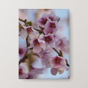 Pink Cherry Blossom Badge Button
