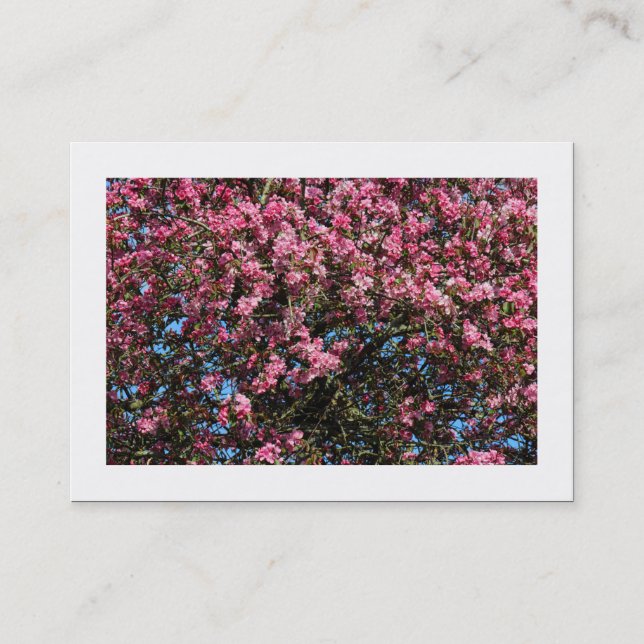 Pink Cherry Blossom (Bordered) Business Card (Front)