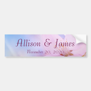 Pink cherry blossom bumper sticker