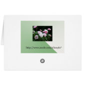 pink cherry blossom cards (Back Horizontal)