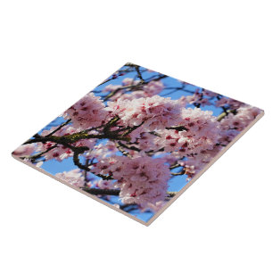 Pink Cherry Blossom Ceramic Tile