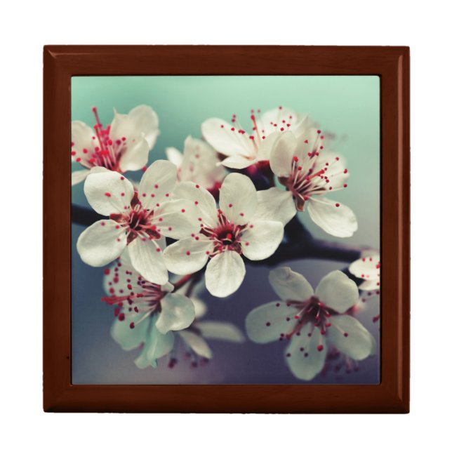 Pink Cherry Blossom, Cherryblossom, Sakura Gift Box (Front)