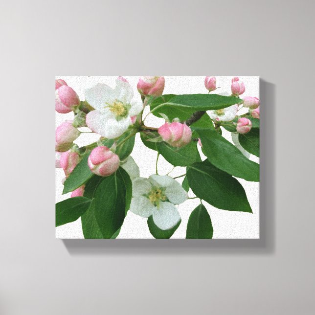 Pink cherry blossom floral boho digital beautiful canvas print (Front)