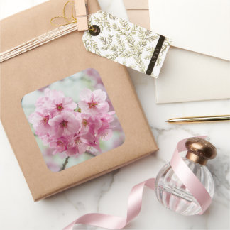 Pink Cherry Blossom Flower, Japan Photography Square Sticker