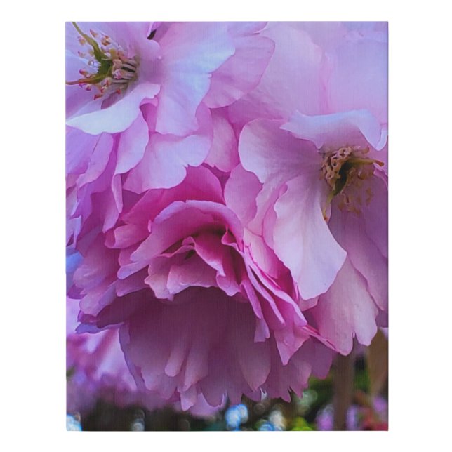 Pink Cherry Blossom Flowers Faux Canvas Print (Front)
