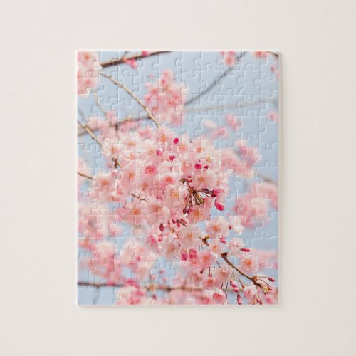 Pink Cherry Blossom Jigsaw Puzzle