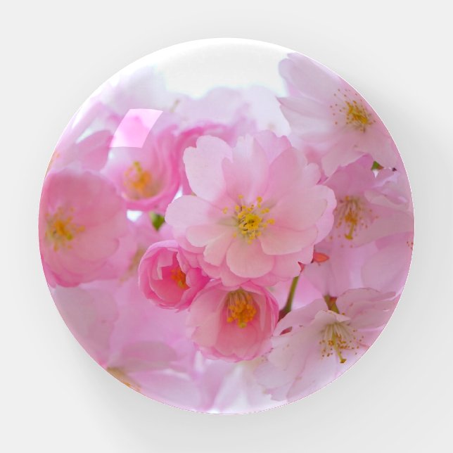 Pink Cherry Blossom Paperweight (Front)