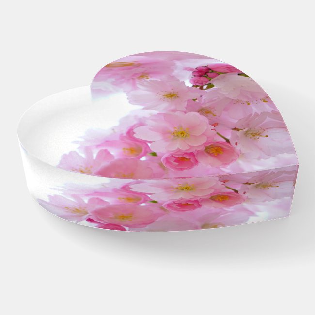 Pink Cherry Blossom