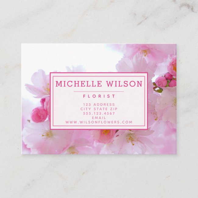 Pink Cherry Blossom - Photo