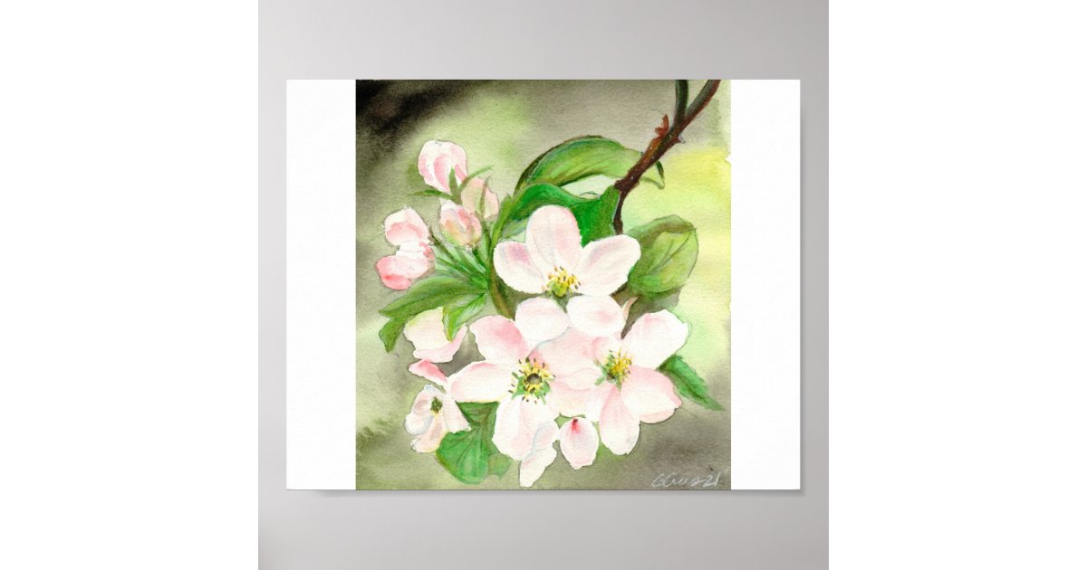 Pink Cherry Blossom Poster | Zazzle