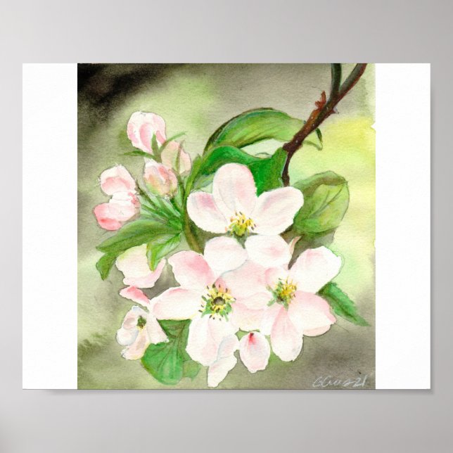 Pink Cherry Blossom Poster (Front)