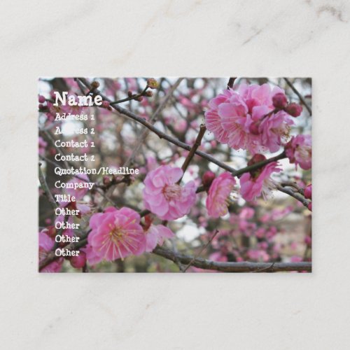 Pink Cherry Blossom  Sakura  サクラ桜 Business Card