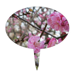 Pink Cherry Blossom / Sakura / サクラ(桜) Cake Topper