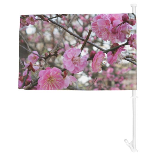 Pink Cherry Blossom / Sakura / サクラ（桜) Car Flag (Back)