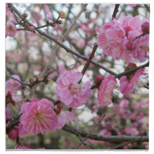 Pink Cherry Blossom / Sakura / サクラ(桜) Cloth Napkin