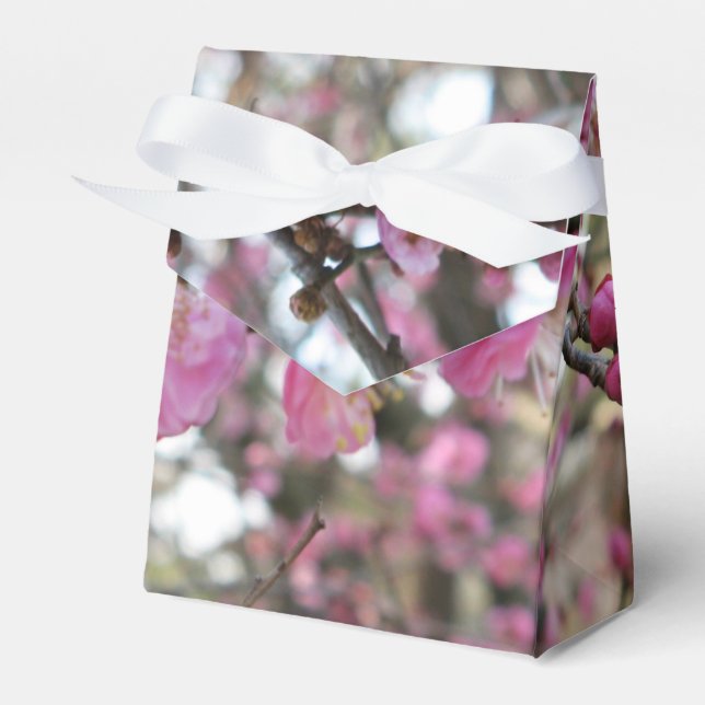Pink Cherry Blossom / Sakura / サクラ（桜) Favor Boxes (Front Side)
