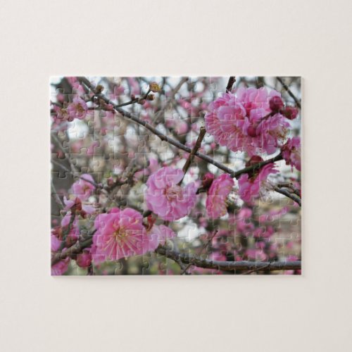 Pink Cherry Blossom  Sakura  サクラ桜 Jigsaw Puzzle