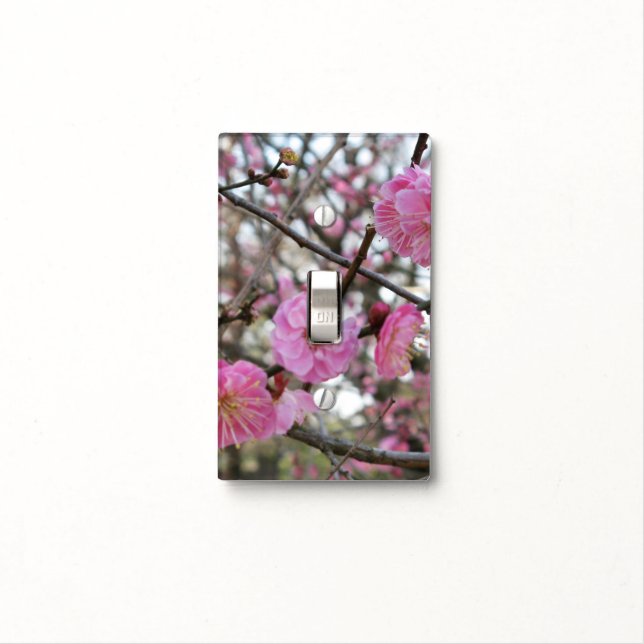 Pink Cherry Blossom / Sakura / サクラ（桜) Light Switch Cover (In Situ)