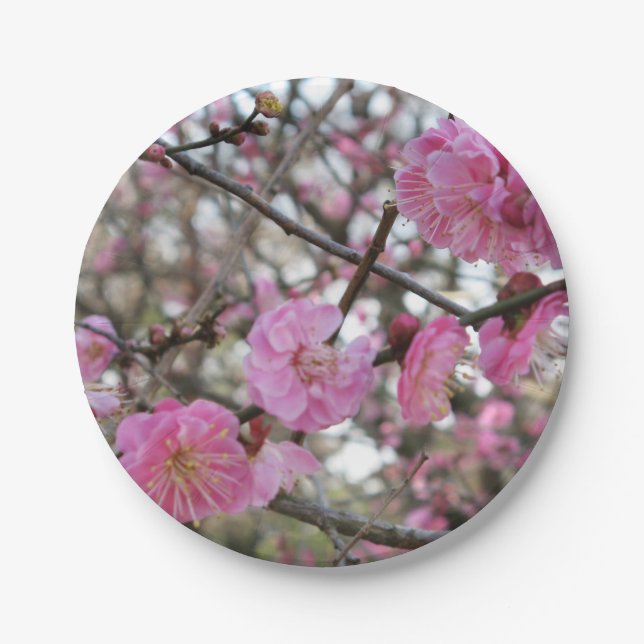 Pink Cherry Blossom / Sakura / サクラ（桜) Paper Plates (Front)