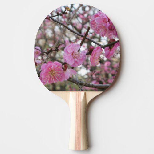 Pink Cherry Blossom  Sakura  サクラ桜 Ping Pong Paddle