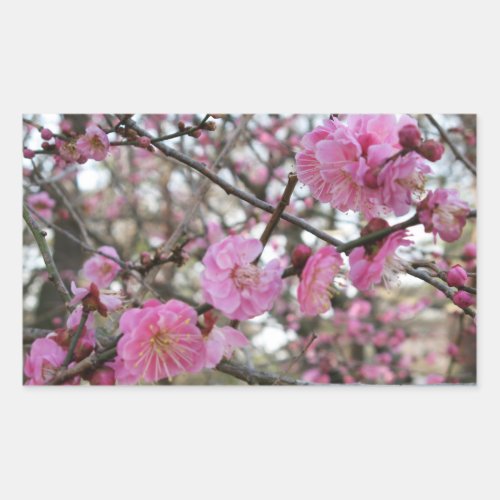 Pink Cherry Blossom  Sakura  サクラ桜 Rectangular Sticker