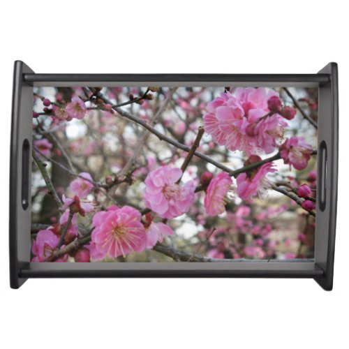 Pink Cherry Blossom  Sakura  サクラ桜 Serving Tray