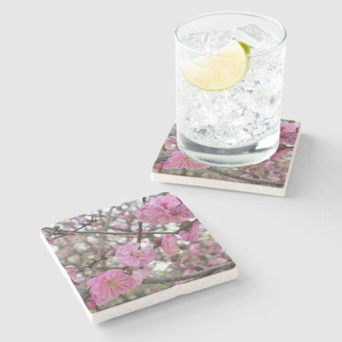 Pink Cherry Blossom  Sakura  サクラ桜 Stone Coaster