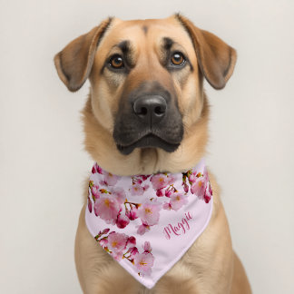 Pink Cherry Blossom Spring Flowers Custom Name Pet Bandana Collar