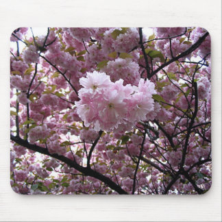 Pink Cherry Blossom Tree Photo Mouse Pad
