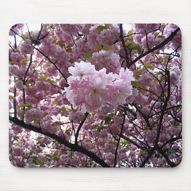 Pink Cherry Blossom Tree Photo Mouse Pad (Front)