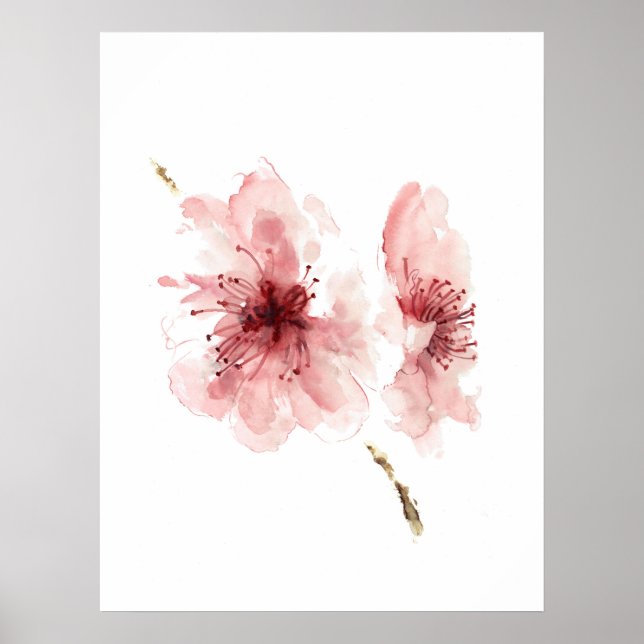 Pink cherry blossom white poster sakura (Front)