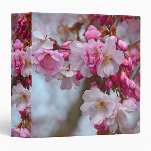 Pink cherry blossoms 3 ring binder