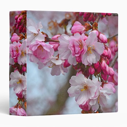 Pink cherry blossoms 3 ring binder