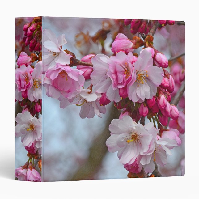 Pink cherry blossoms 3 ring binder (Front/Spine)