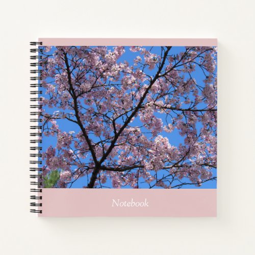 Pink Cherry Blossoms 85x85 Notebook