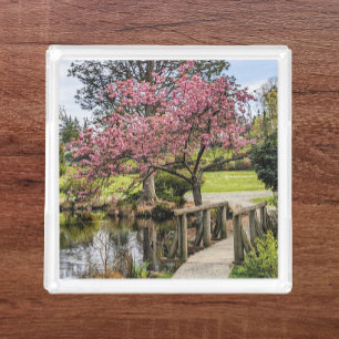 Pink Cherry Blossoms and Wooden Footbridge Acrylic Tray