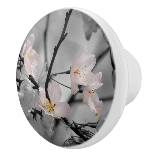 Pink Cherry Blossoms Ceramic Knob (Right)