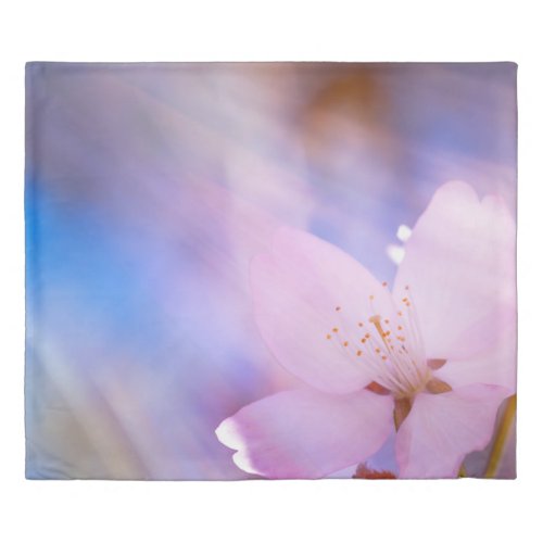 Pink cherry blossoms